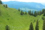 2014-07-05_Laengental-N-Hochweg (876). JPG